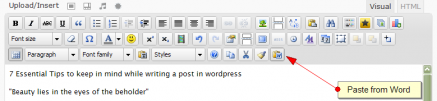 Paste from Word into WordPress