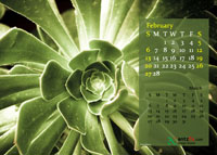 2011 Calendar - February