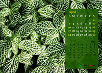 2011 Calendar - April