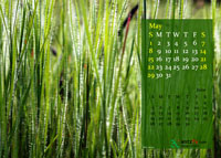 2011 Calendar - May