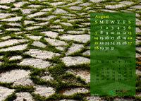 2011 Calendar - August