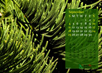 2011 Calendar - September