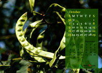2011 Calendar - October