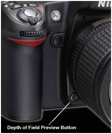 nikon d90 dof button