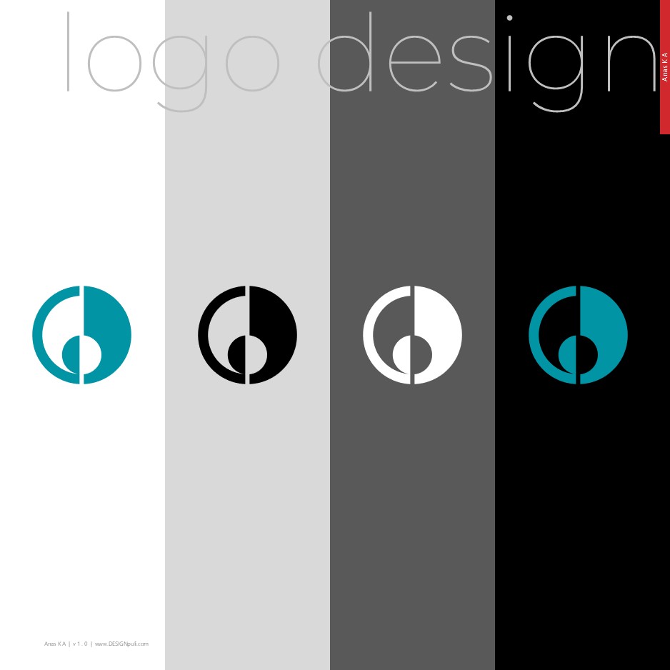 DESCIN logo on different background colors